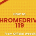 chrome Driver 119