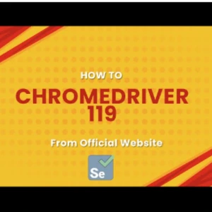 Chrome Driver 119