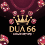 Dua 66 game