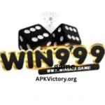 Win999 game