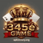 345e Game