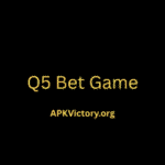 Q5 Bet game