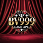 BV999 Game