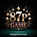 87P Game
