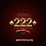 222RS Game